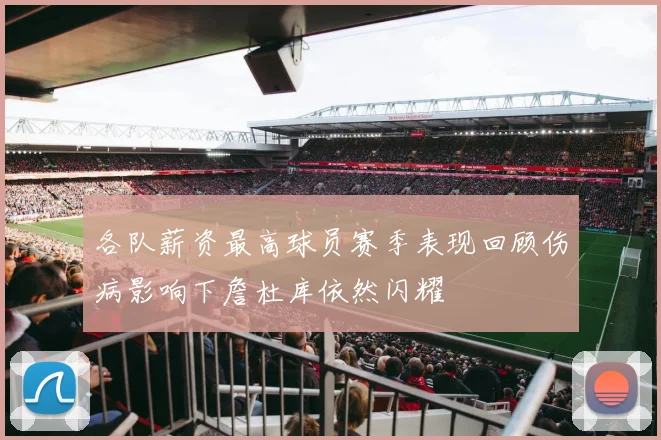 各队薪资最高球员赛季表现回顾伤病影响下詹杜库依然闪耀