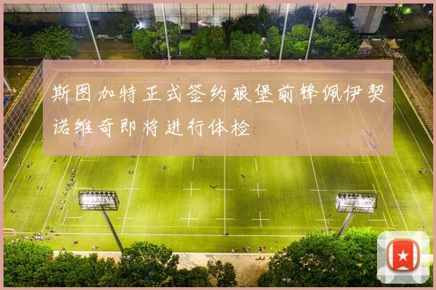 斯图加特正式签约狼堡前锋佩伊契诺维奇即将进行体检
